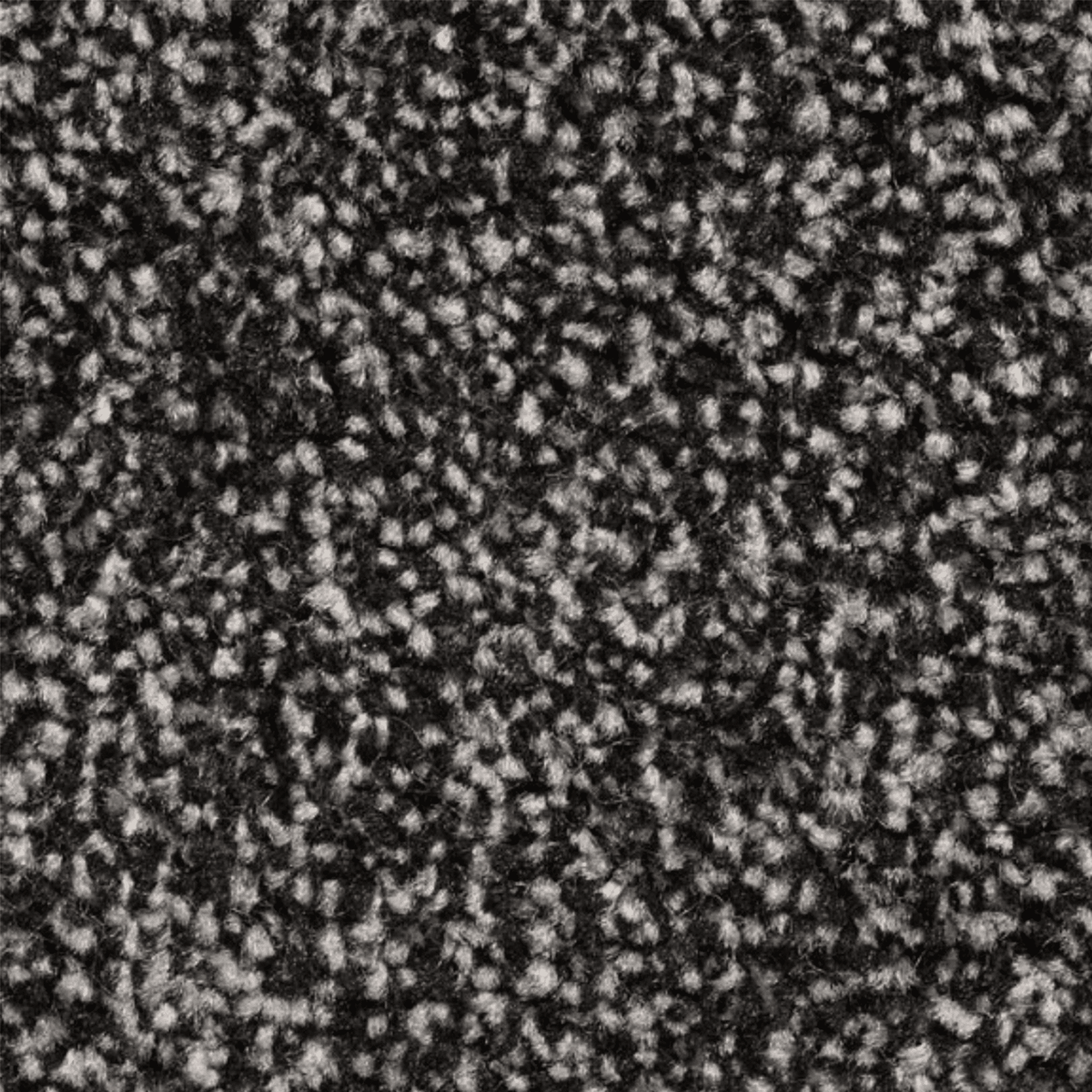 11mm Ebony Grey Twist Action Backed Carpet