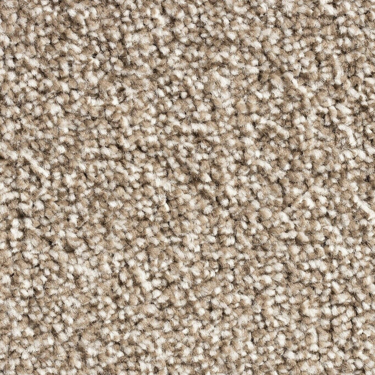 15mm Peanut Saxony Action Backed Carpet