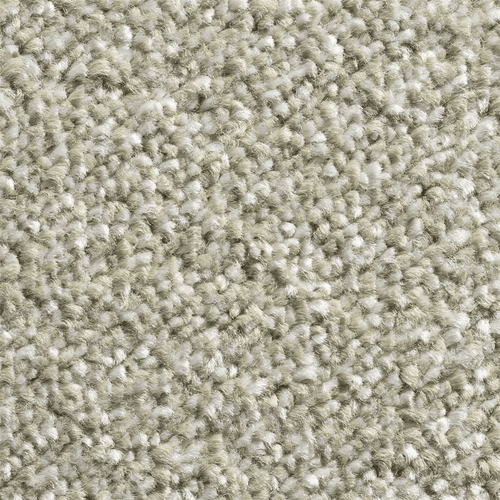 11mm Sand Twist Action Backed Carpet