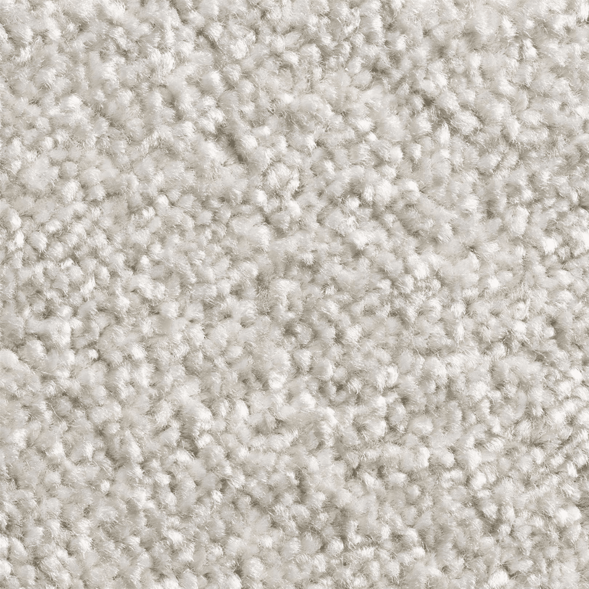 10mm Pearl Grey Carpet SAMPLE