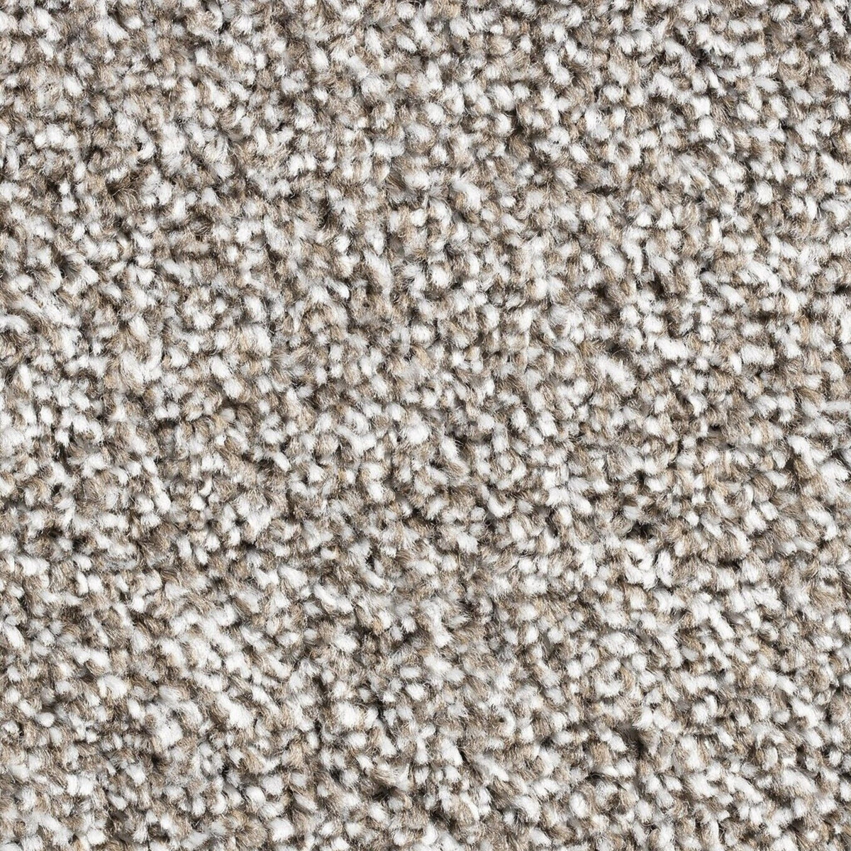 15mm Taupe Saxony Action Backed Carpet