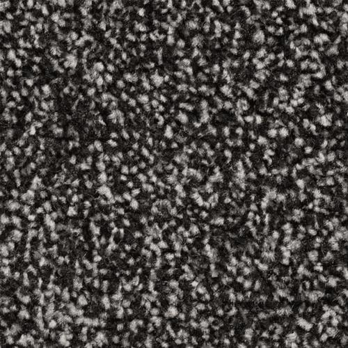 11mm Ebony Grey Twist Action Backed Carpet