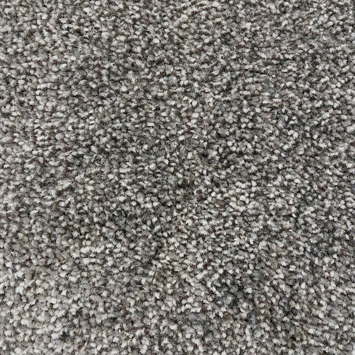 16mm Matt Saxony Action Backed Carpet SAMPLE