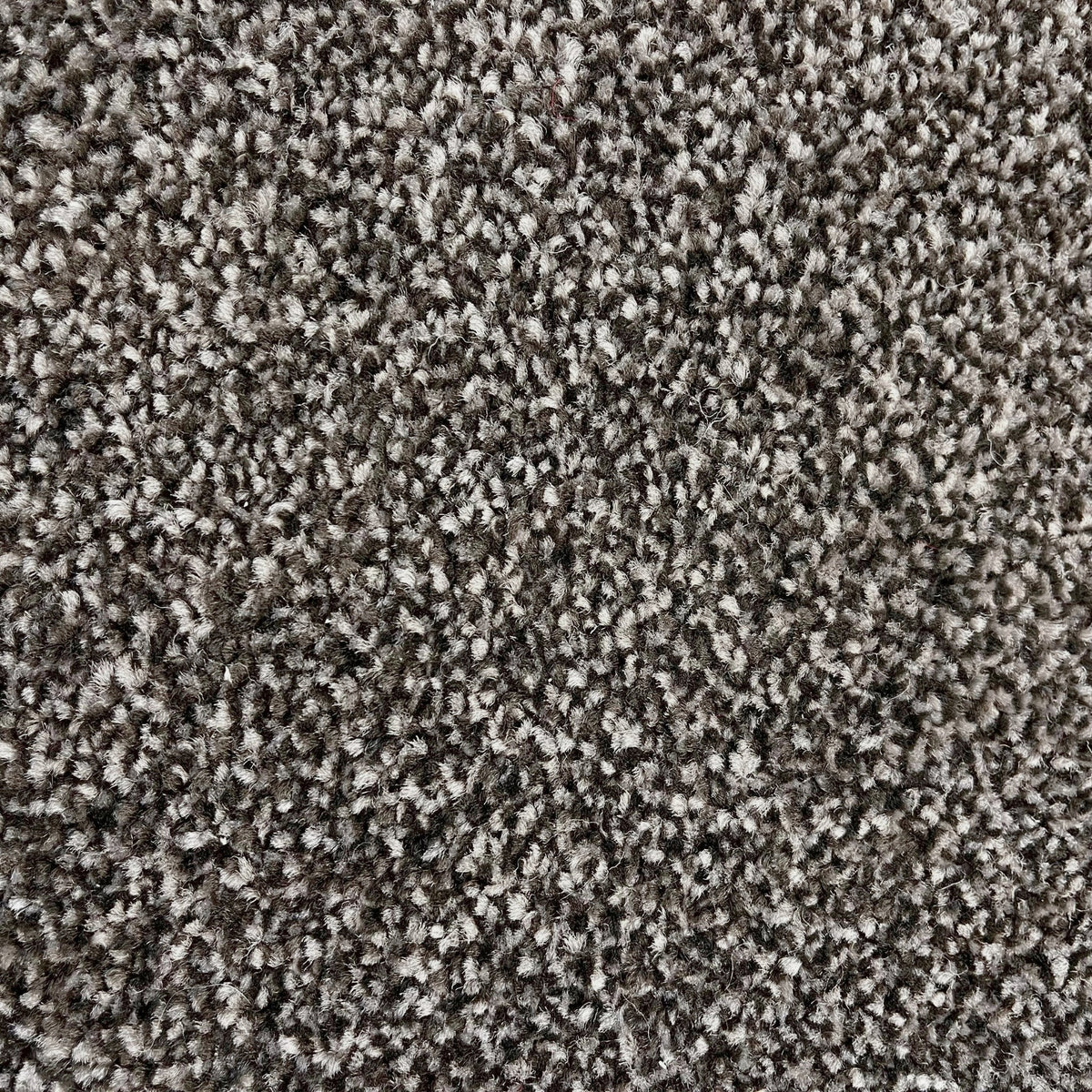 16mm Pebble Saxony Action Backed Carpet
