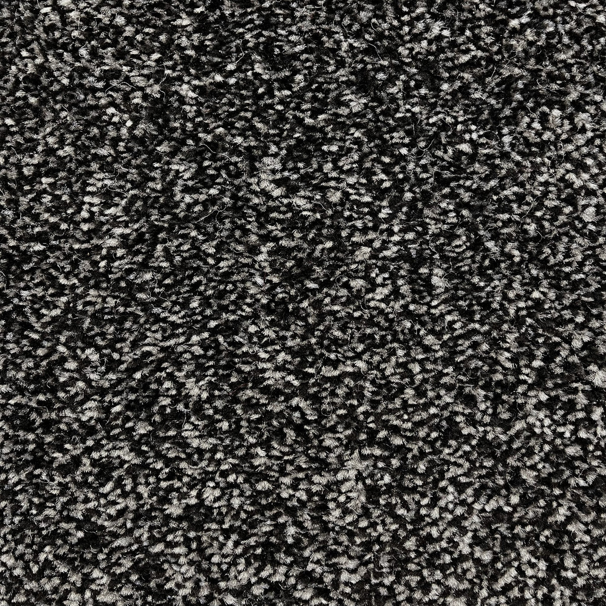 16mm Shadow Saxony Action Backed Carpet
