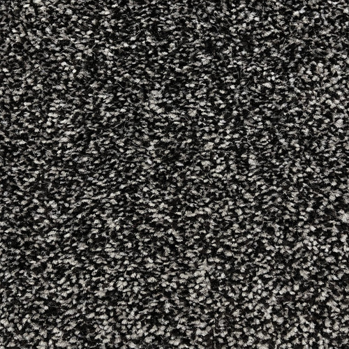 16mm Shadow Saxony Action Backed Carpet