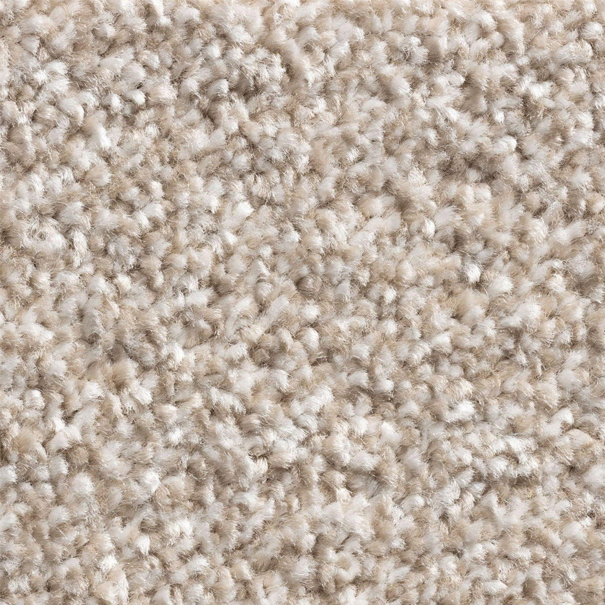 11mm Biscuit Twist Action Backed Carpet