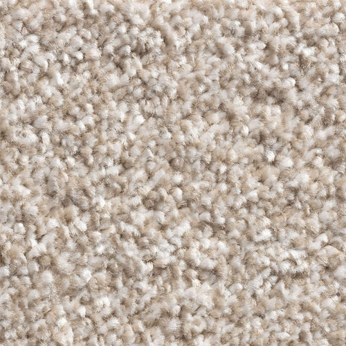 11mm Biscuit Twist Action Backed Carpet