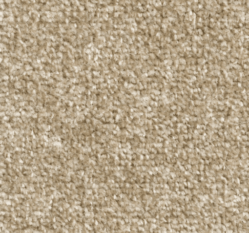 8mm Beige Carpet SAMPLE