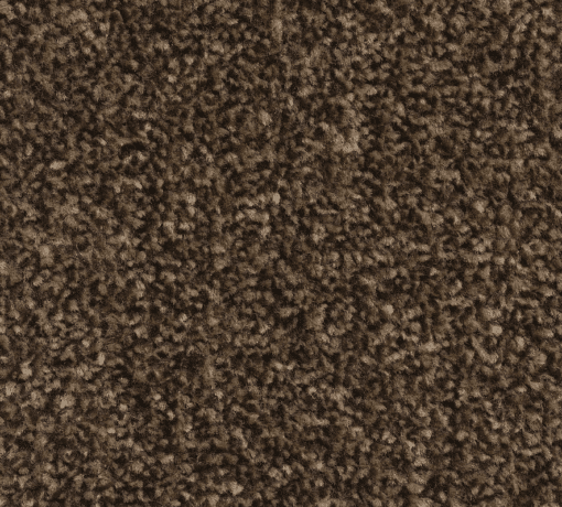 8mm Brown Carpet SAMPLE