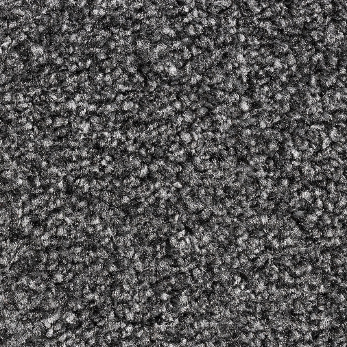 8mm Graphite Twist Felt Backed Carpet