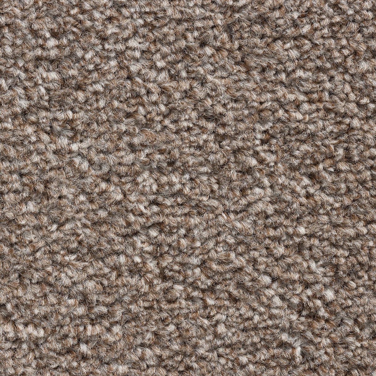 8mm Sahara Twist Felt Backed Carpet