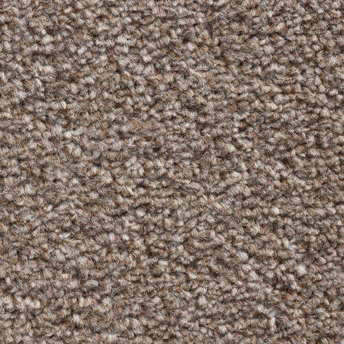 8mm Sahara Twist Felt Backed Carpet