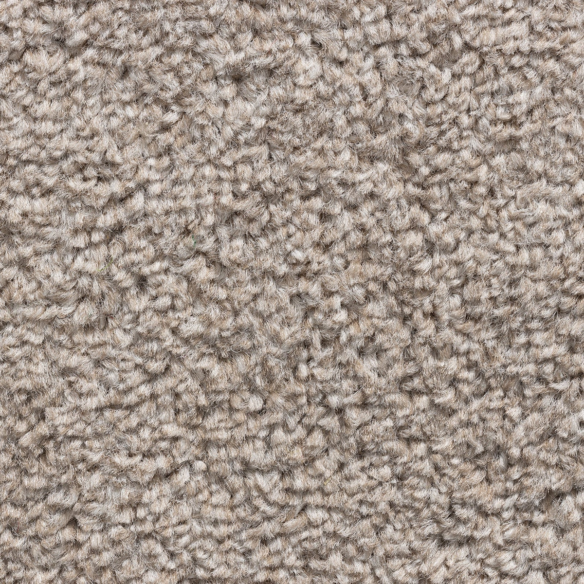 8mm Sandstone Twist Felt Backed Carpet SAMPLE