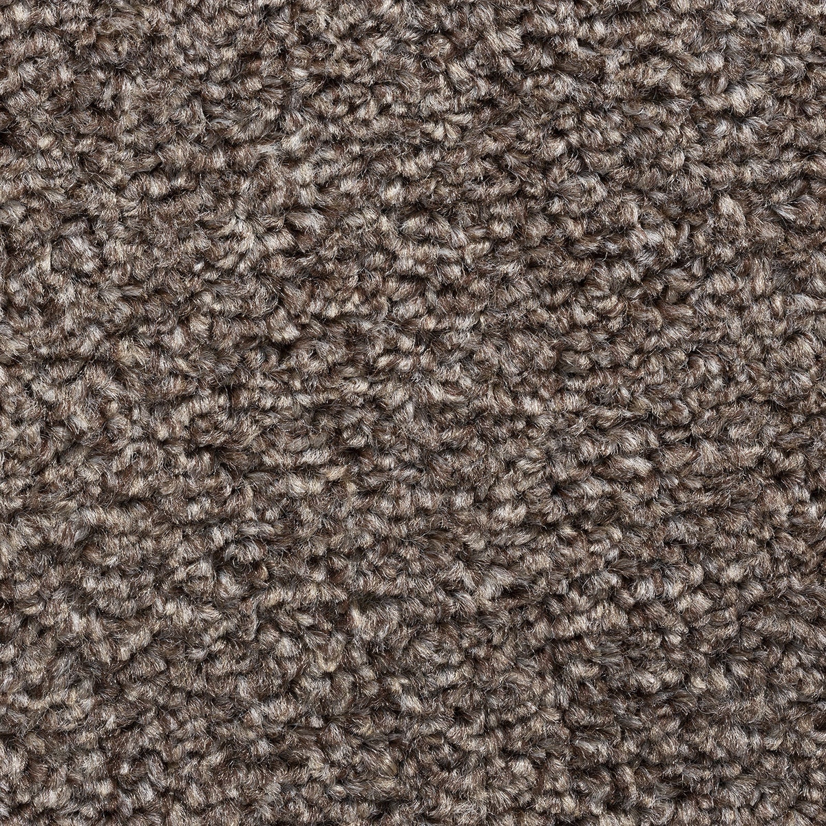 8mm Autumn Twist Felt Backed Carpet