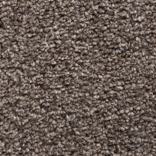 8mm Autumn Twist Felt Backed Carpet