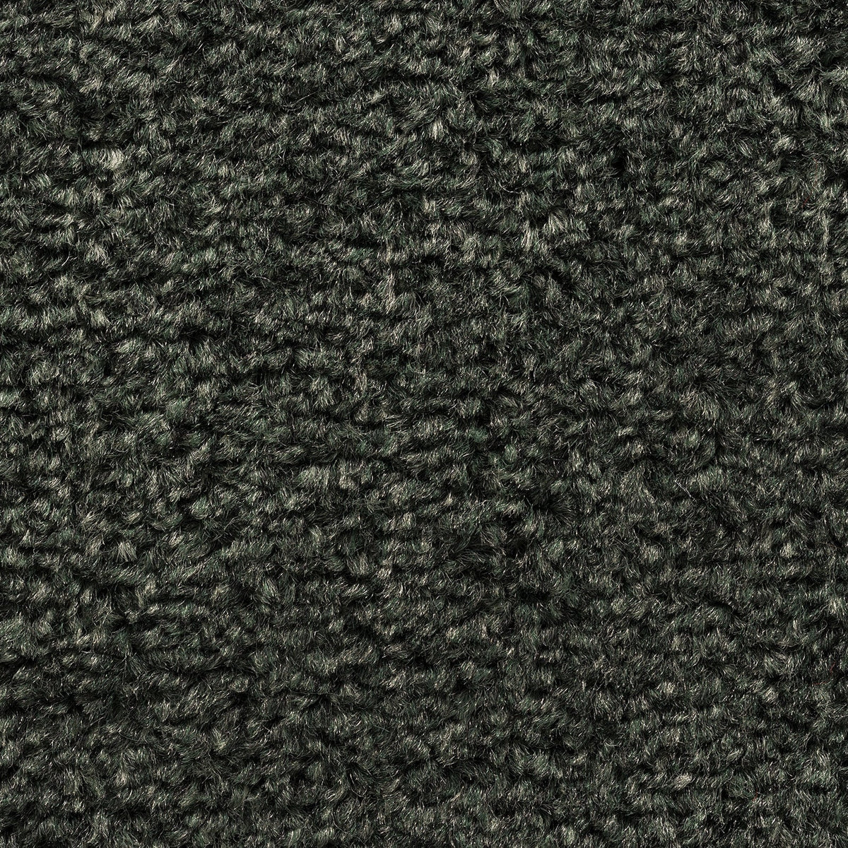 8mm Forest Twist Felt Backed Carpet