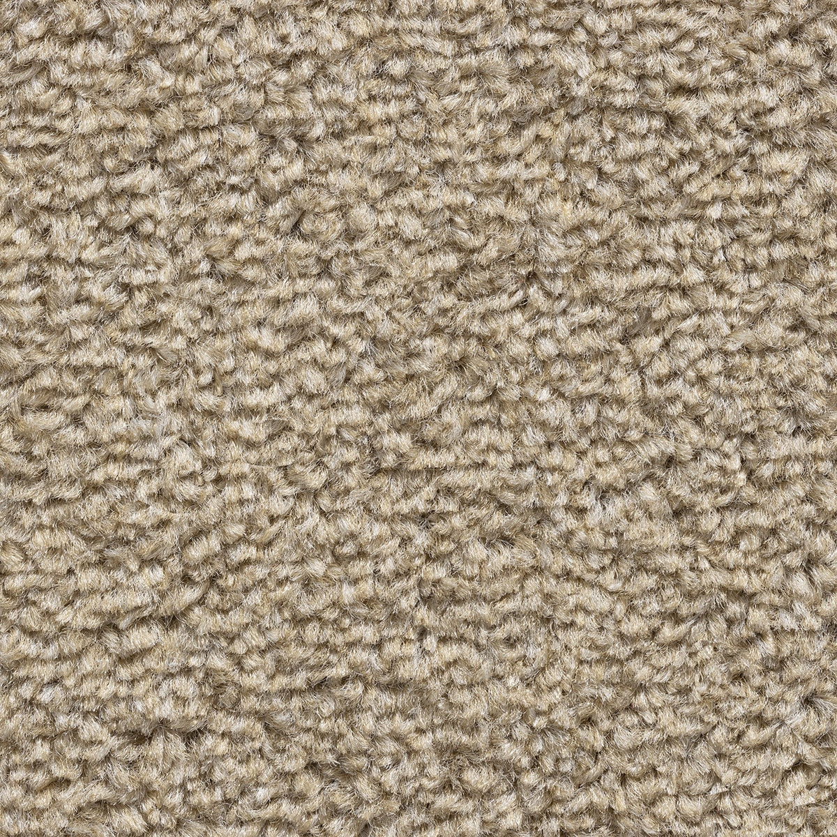 8mm Bluff Twist Felt Backed Carpet