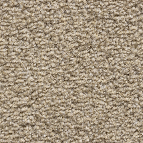 8mm Bluff Twist Felt Backed Carpet
