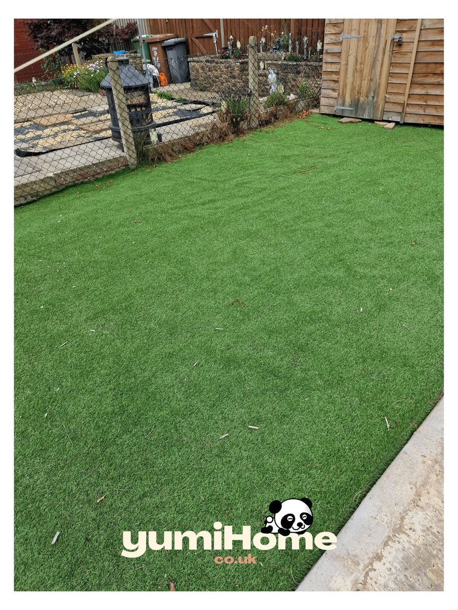 Shaun's garden tidy-up